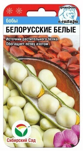  Бобы Белорусские Белые 10шт /296/ СС, АЭ (27)