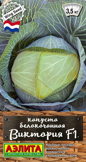  Капуста б/к Виктория F1 0,1г Р /139-2/ АЭ * (26)