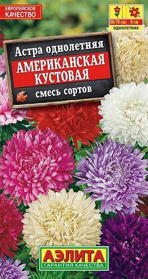  Астра Американская кустовая, смесь 0,2г 60см /502/ АЭ (26)