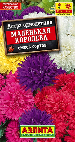  Астра кустовая Маленькая Королева, смесь 0,2г 25см /509-1/ АЭ (25)