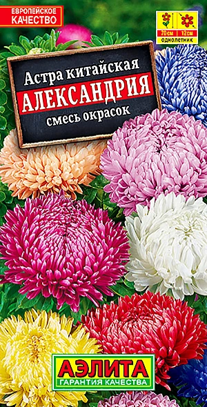  Астра Александрия, смесь сортов 0,2г 70см /317/ АЭ (26)